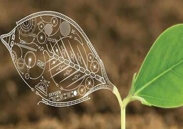 New bio-enzyme that breaks down waste plants into sugar
